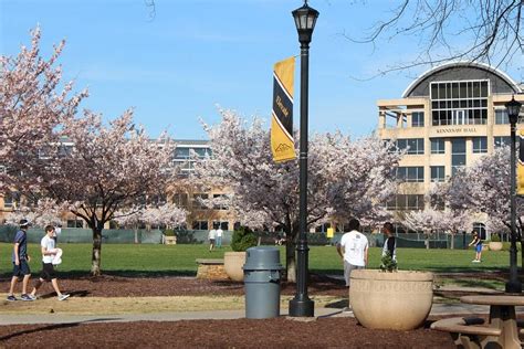 what are quality points ksu calculator - kennesaw state university 4.00 grade.